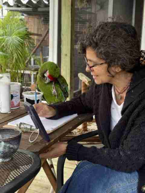 Parrot at the Blissful Sanctuary