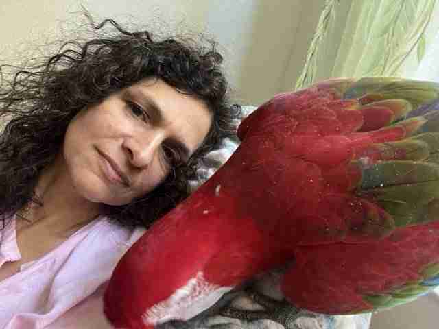 Parrot at the Blissful Sanctuary