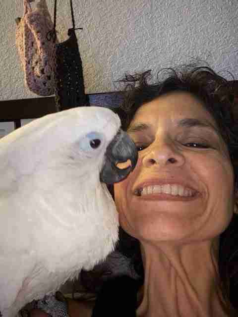 Parrot at the Blissful Sanctuary