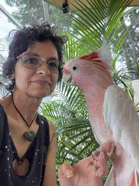 Parrot at the Blissful Sanctuary