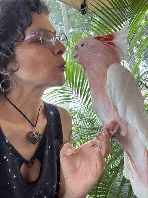 Parrot at the Blissful Sanctuary