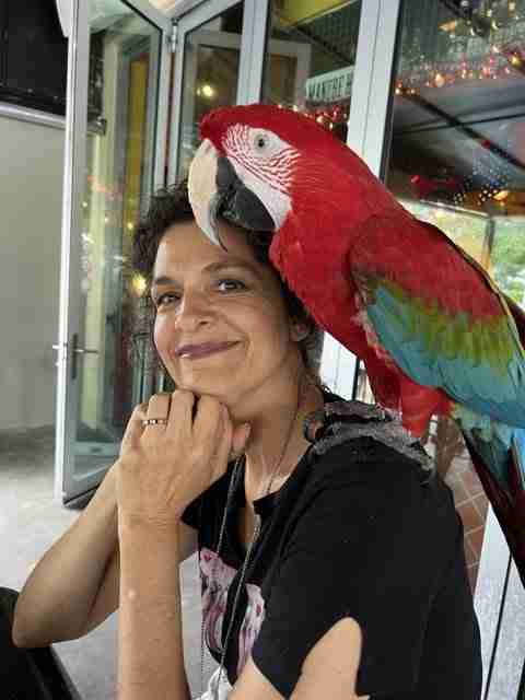 Parrot at the Blissful Sanctuary