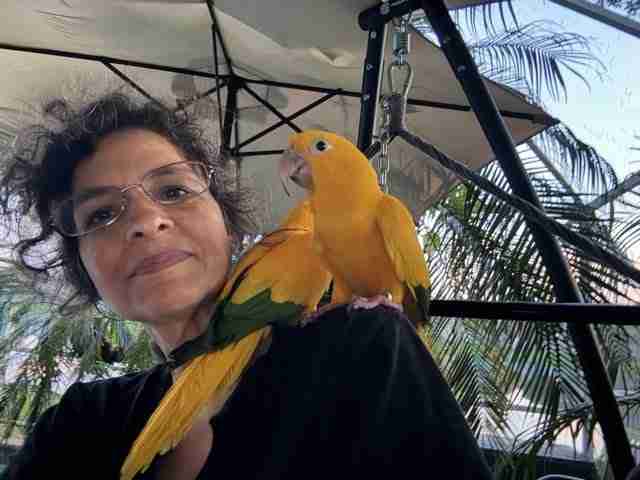 Parrot at the Blissful Sanctuary