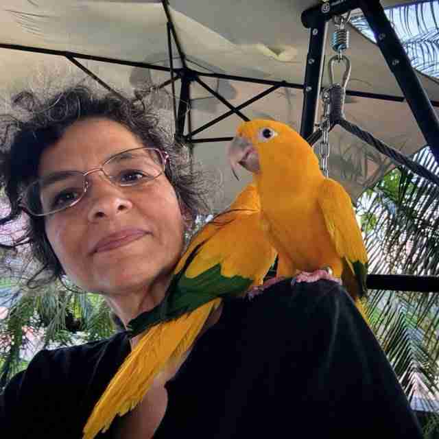 Parrot at the Blissful Sanctuary