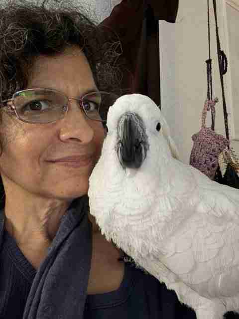 Parrot at the Blissful Sanctuary