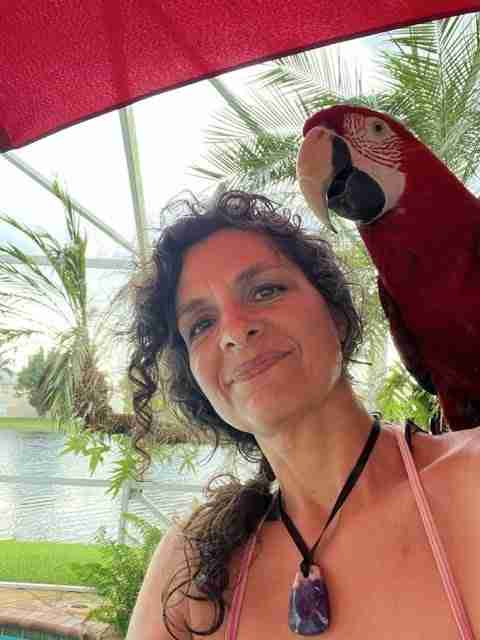 Parrot at the Blissful Sanctuary