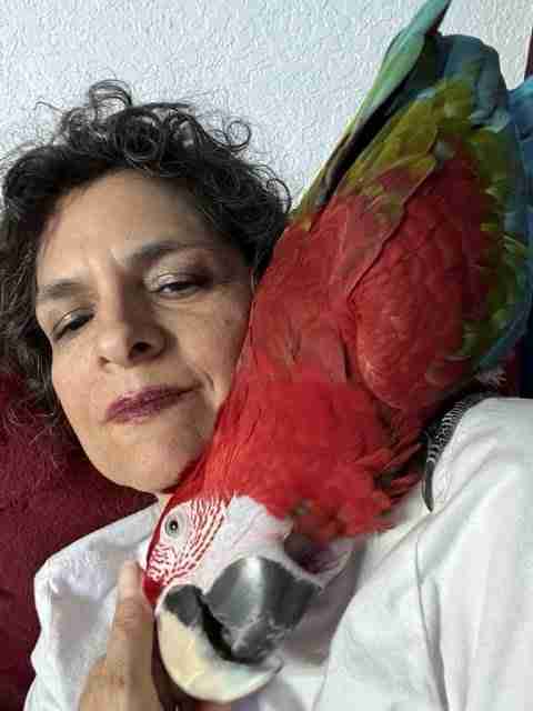 Parrot at the Blissful Sanctuary