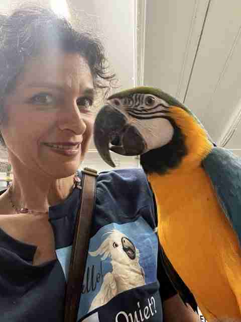 Parrot at the Blissful Sanctuary