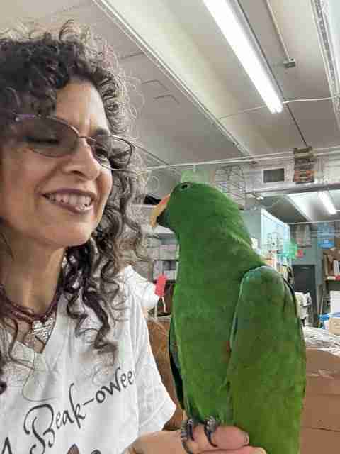 Parrot at the Blissful Sanctuary