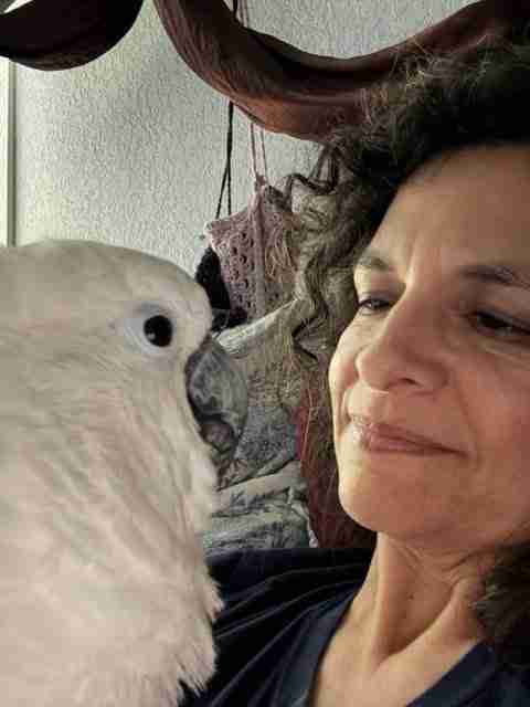 Parrot at the Blissful Sanctuary