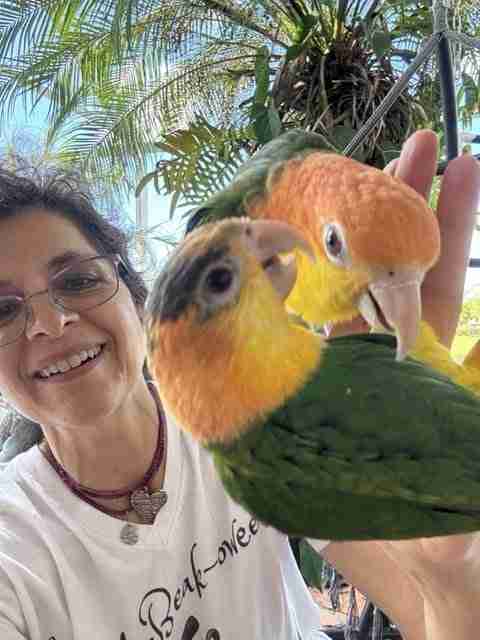 Parrot at the Blissful Sanctuary