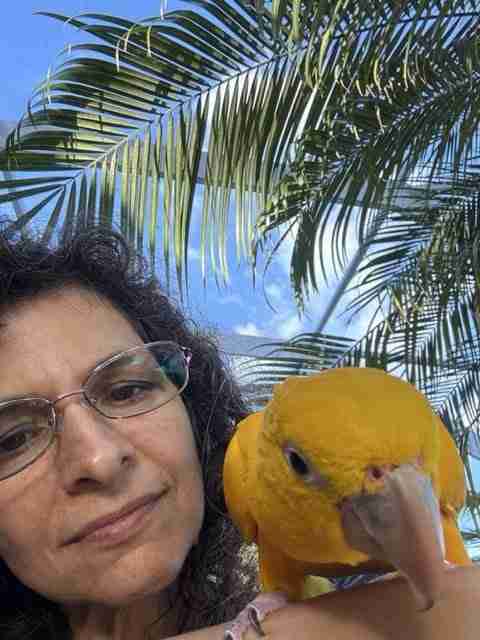 Parrot at the Blissful Sanctuary