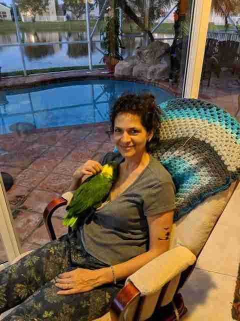 Parrot at the Blissful Sanctuary