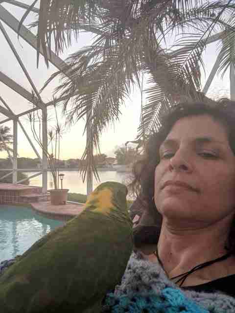 Parrot at the Blissful Sanctuary