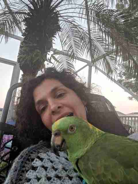 Parrot at the Blissful Sanctuary