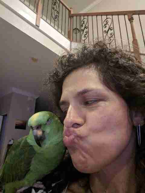 Parrot at the Blissful Sanctuary