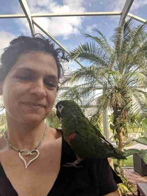 Parrot at the Blissful Sanctuary