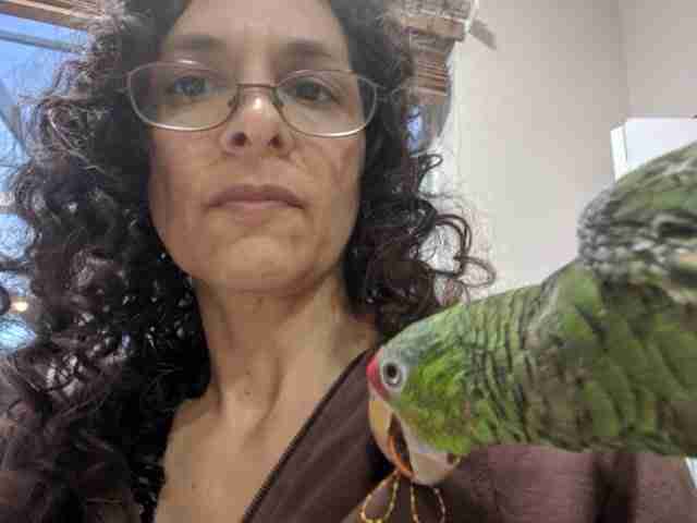Parrot at the Blissful Sanctuary