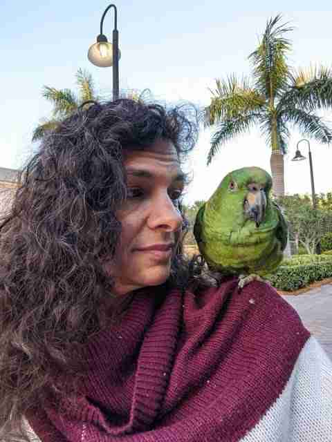Parrot at the Blissful Sanctuary