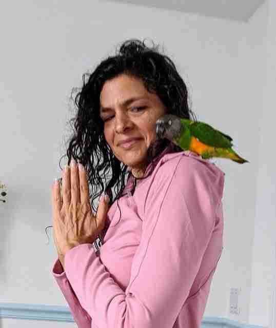 Parrot at the Blissful Sanctuary