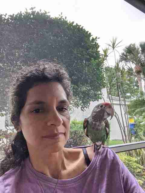 Parrot at the Blissful Sanctuary