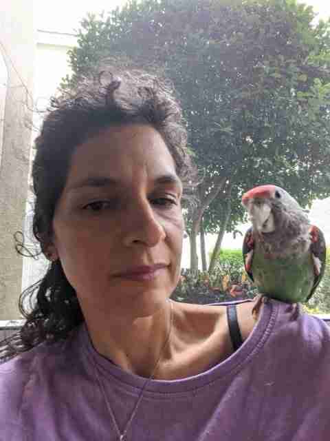 Parrot at the Blissful Sanctuary