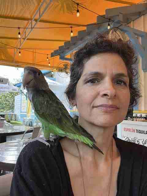 Parrot at the Blissful Sanctuary