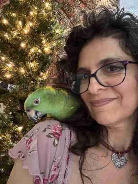 Parrot at the Blissful Sanctuary