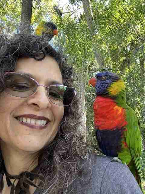 Parrot at the Blissful Sanctuary