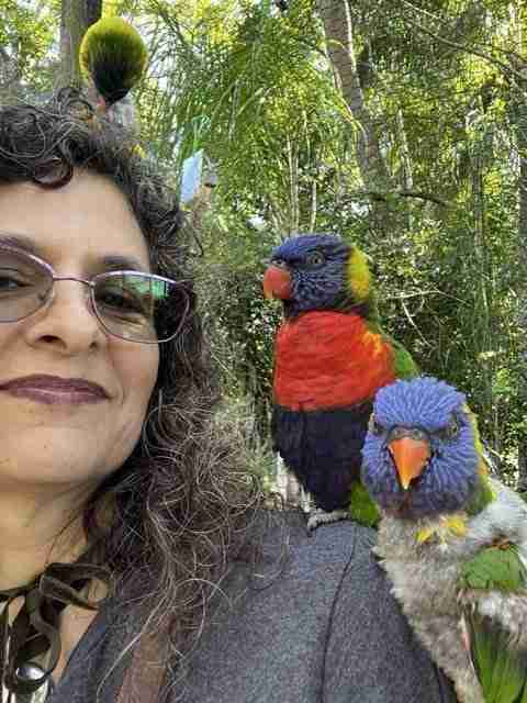 Parrot at the Blissful Sanctuary