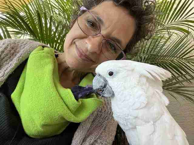 Parrot at the Blissful Sanctuary