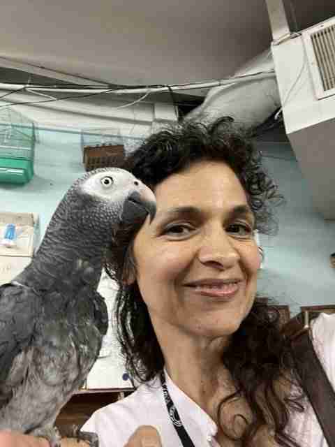 Parrot at the Blissful Sanctuary