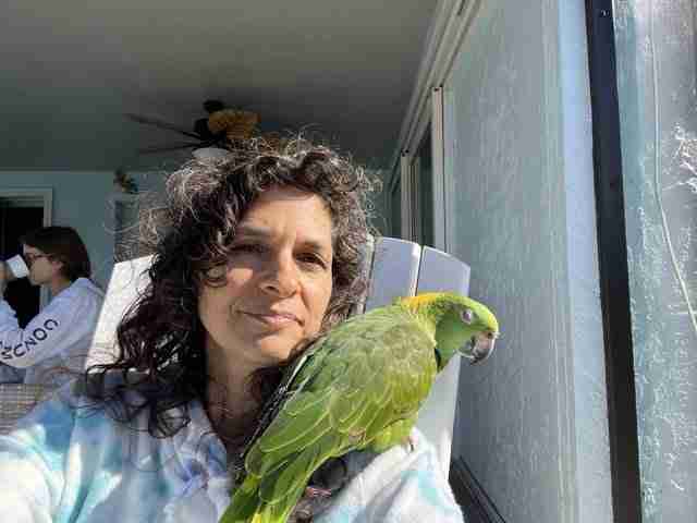 Parrot at the Blissful Sanctuary