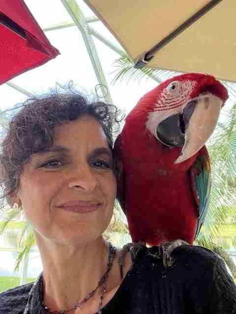 Parrot at the Blissful Sanctuary