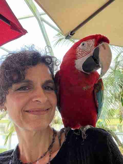 Parrot at the Blissful Sanctuary