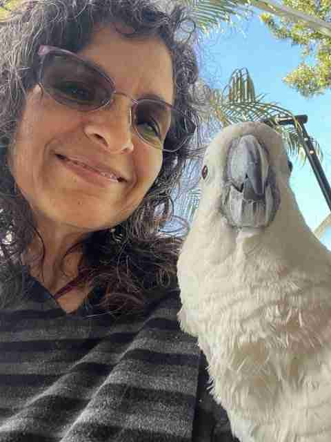 Parrot at the Blissful Sanctuary