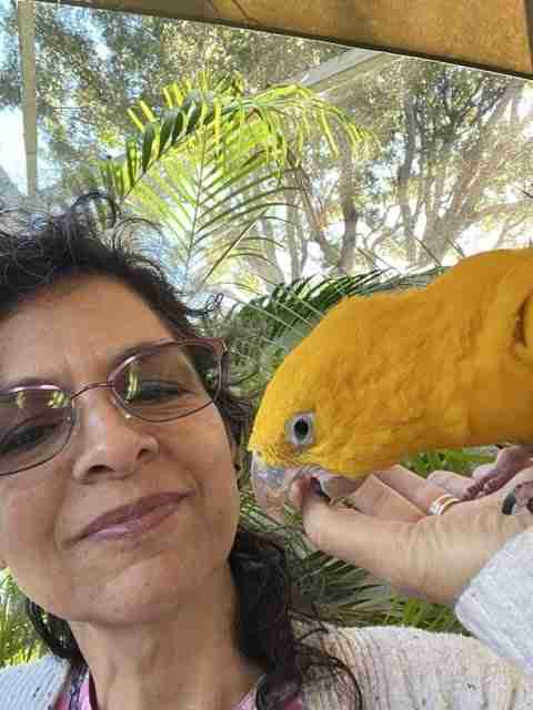 Parrot at the Blissful Sanctuary