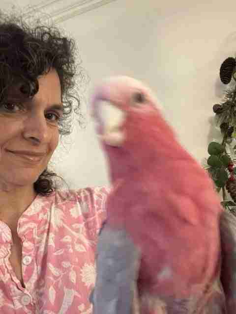 Parrot at the Blissful Sanctuary