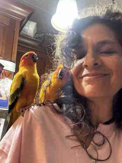 Parrot at the Blissful Sanctuary