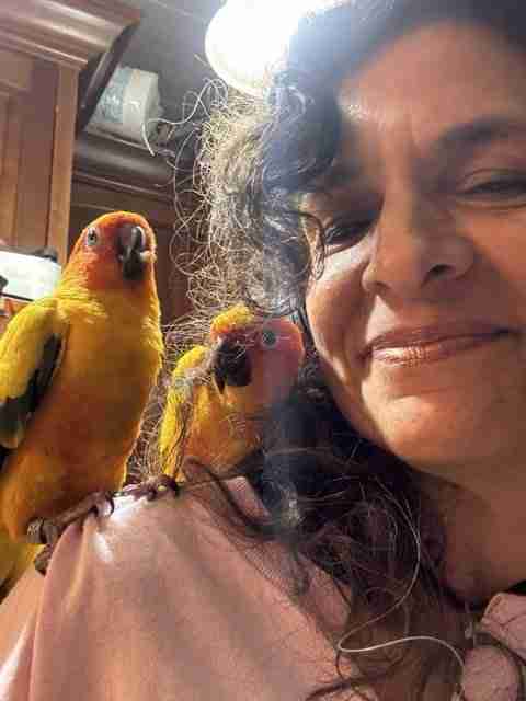 Parrot at the Blissful Sanctuary