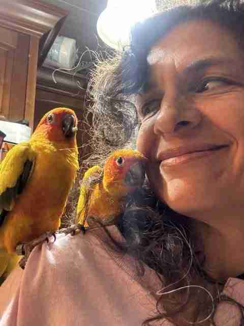 Parrot at the Blissful Sanctuary