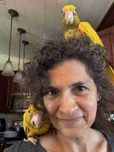 Parrot at the Blissful Sanctuary