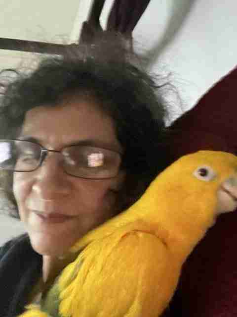 Parrot at the Blissful Sanctuary