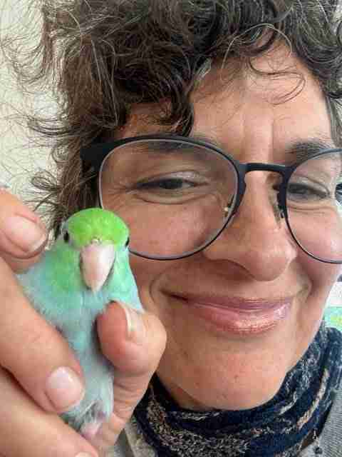 Parrot at the Blissful Sanctuary