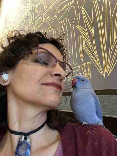 Parrot at the Blissful Sanctuary
