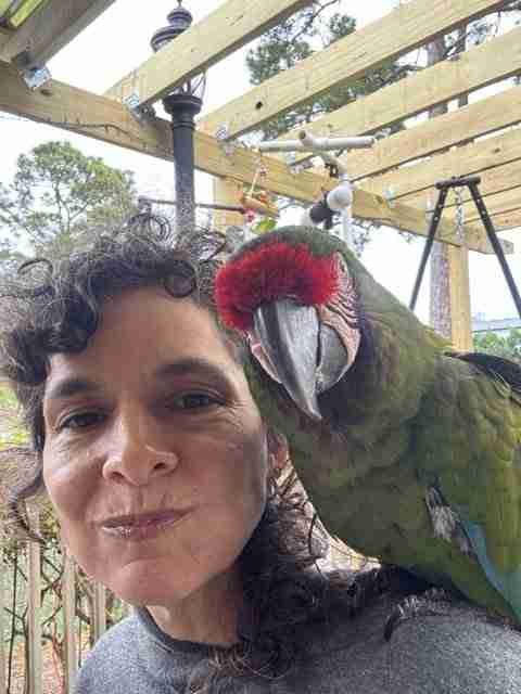 Parrot at the Blissful Sanctuary