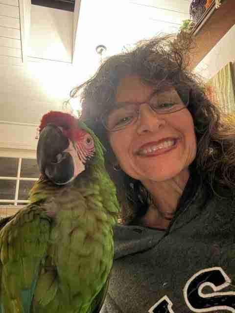 Parrot at the Blissful Sanctuary