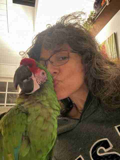 Parrot at the Blissful Sanctuary