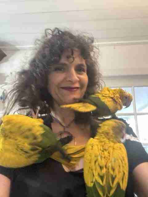 Parrot at the Blissful Sanctuary