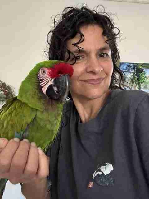 Parrot at the Blissful Sanctuary
